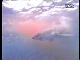 Music Video,  The Finest Hour