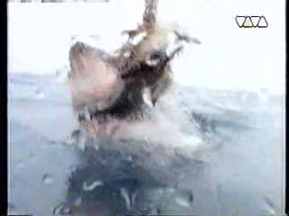 Music Video,  The Finest Hour