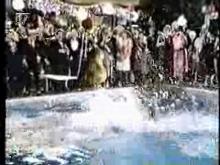 Dynasty,  German film