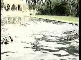 Dynasty (German vers.)