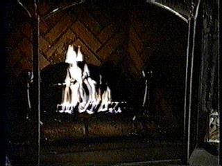 MTV Germany,  Dynasty