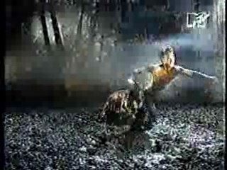 MTV Germany,  Dynasty