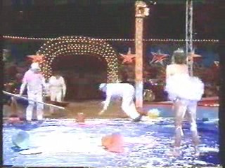 German Circus Show,  Django