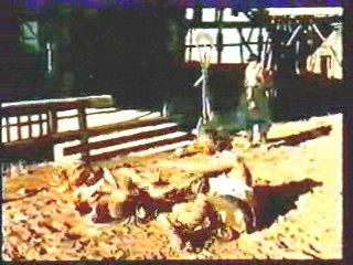 German Circus Show,  Django