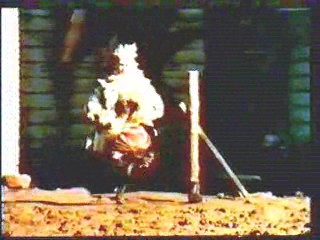 German Circus Show,  Django