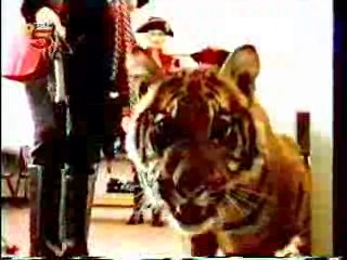 Sex Appeal.  Lucy Rap