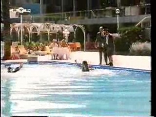 German movie,  German Documentary