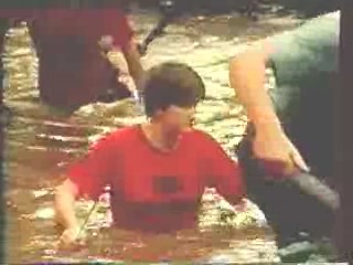 German movie,  German Documentary