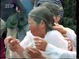 German TV documentaries (2)