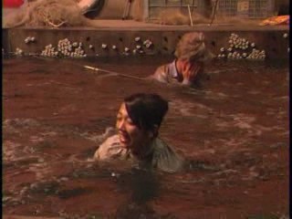 Japanese comedy show - Warau inu no Bouken