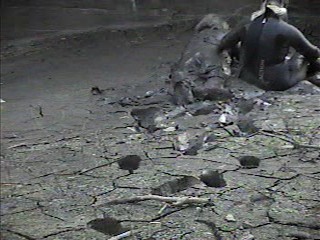 Rubber wetsuits in mud