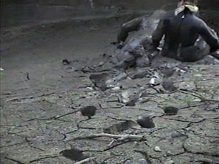 Rubber wetsuits in mud