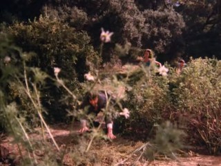 Daisy Duke Quicksand