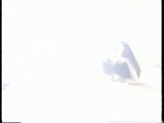 Vietnamese music video, Taiwan show