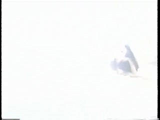 Vietnamese music video, Taiwan show