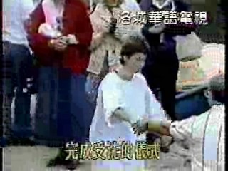 Vietnamese music video, Taiwan show