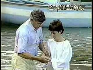 Vietnamese music video, Taiwan show