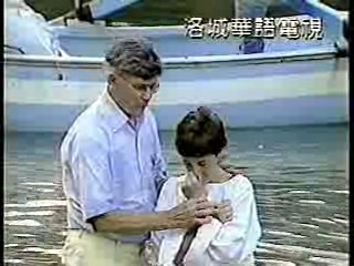 Vietnamese music video, Taiwan show