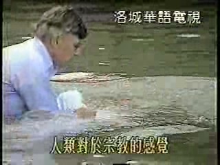 Vietnamese music video, Taiwan show