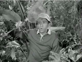 Gilligan's Island
