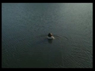 Weep No More My Lady