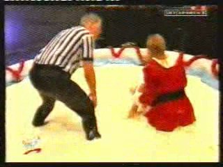 WWE Xmas Catfight