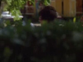 Something Wild, Moonlighting