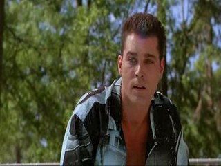 Something Wild, Moonlighting