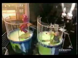  Morning Broadcast Program,  Teennick - Avril Lavigne