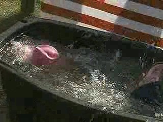 Darcy's Wildlife, Lucy Sullivan Is Getting Married