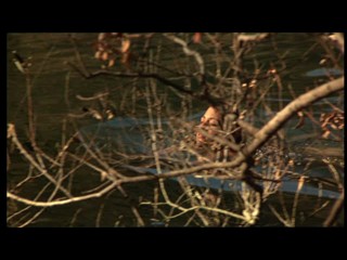 Friday the 13th: The Final Chapter