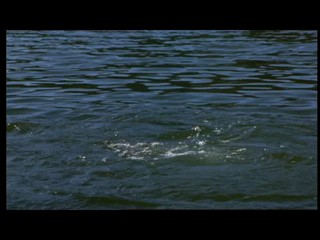 Friday the 13th: The Final Chapter