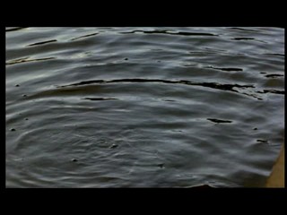 Friday the 13th: The Final Chapter