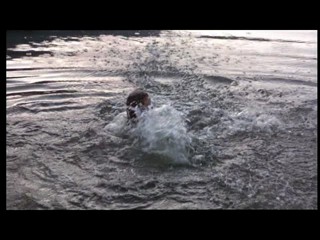 Friday the 13th: The Final Chapter