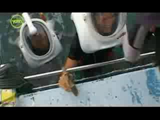 I'm a Celebrity Get Me Out of Here AND Kiki Dee pied