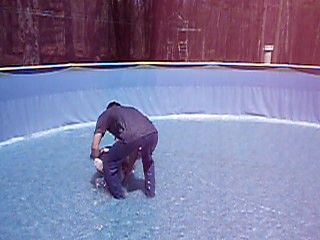 Pulling Jennifer around in the pool