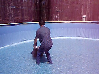 Pulling Jennifer around in the pool