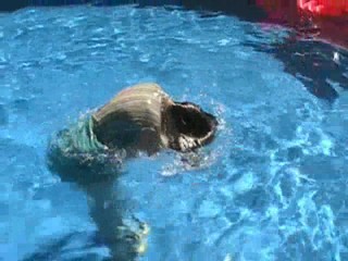 Clips from Jennifer's long aqua skirt video