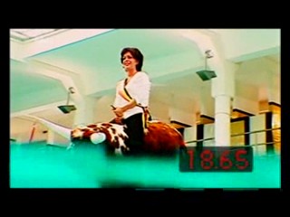 Man Bijt Hond (Man Bites Dog)