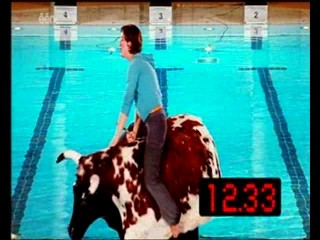 Man Bijt Hond (Man Bites Dog)