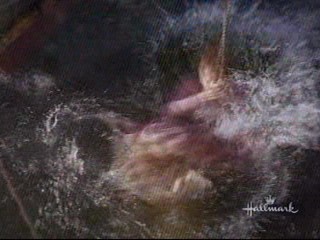 Swiss Family Robinson