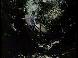 Charlie's Angels; alligator wrestling