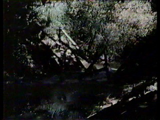 Charlie's Angels; alligator wrestling