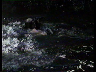 Charlie's Angels; alligator wrestling