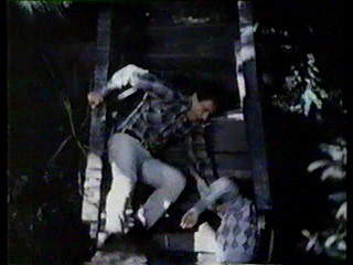 Charlie's Angels; alligator wrestling