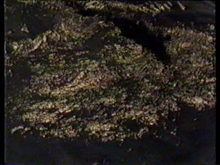 Charlie's Angels; alligator wrestling