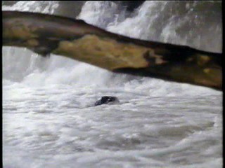 Remington Steele; At a Waterfall