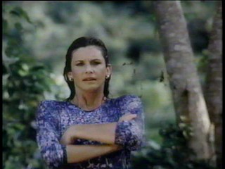 Remington Steele; At a Waterfall