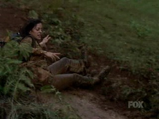 North Shore; Mud and Fountain Scenes