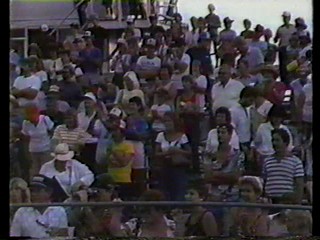 empire of the ants-swamp buggy queen